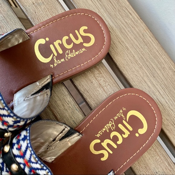 Sam Edelman Brice Fringe Tassel Thong Flat Sandals - Picture 3 of 5